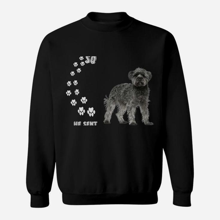 Schnauzer Poodle Dog Quote Mom Dad Costume, Cute Schnoodle Sweatshirt