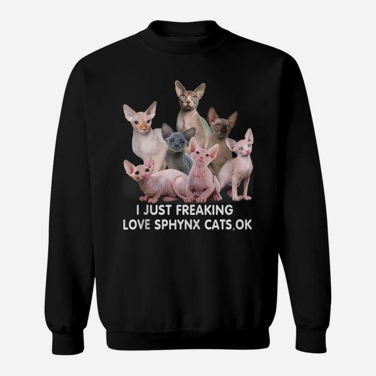 Sphynx Cat Lovers Sphinx Hairless Cat Mothers Day Funny Sweatshirt