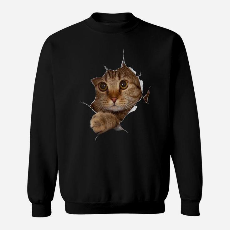 Sweet Kitten Torn Cloth - Funny Cat Lover Cat Owner Cat Lady Sweatshirt