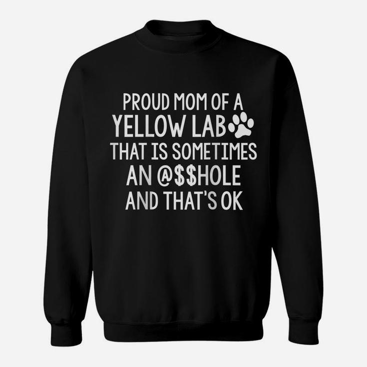 Womens Proud Mom Of Yellow Lab Sometimes $$Hole Funny Dog Sarcasm Raglan Baseball Tee Sweatshirt