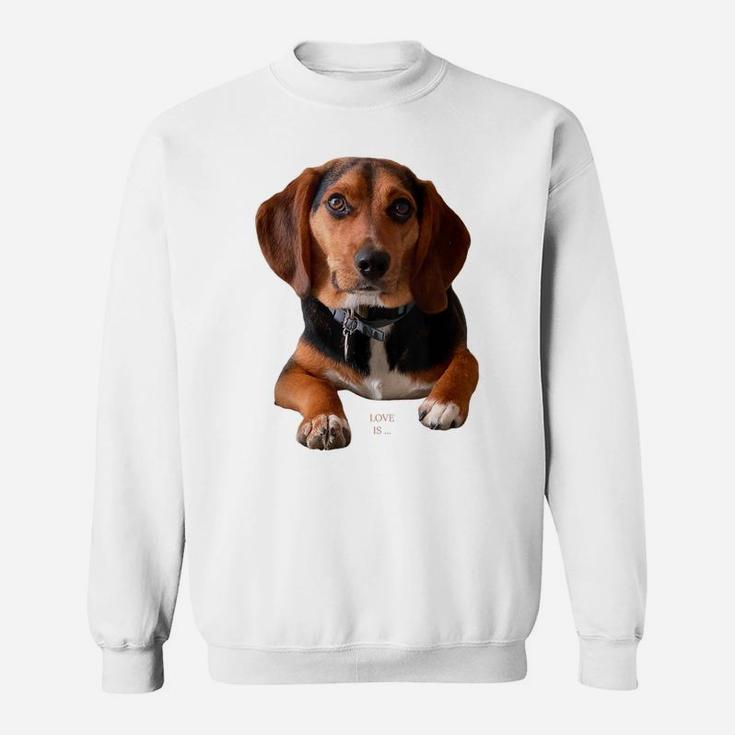 Beagle Shirt Beagles Tee Love Dog Mom Dad Puppy Love Pet T Sweatshirt