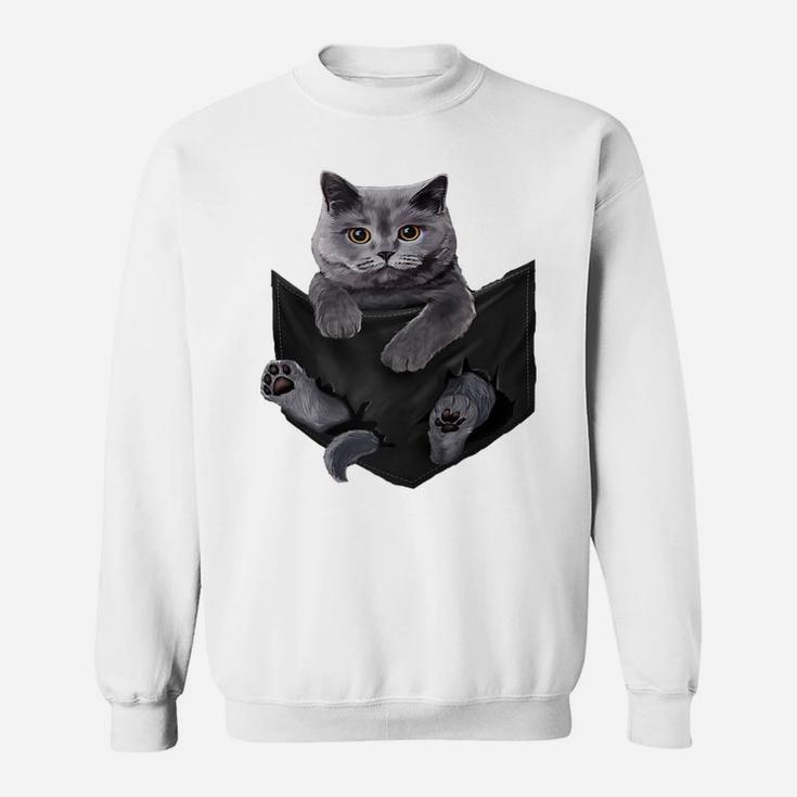 Cat Lovers Gifts British Shorthair In Pocket Funny Kitten Raglan Baseball Tee Sweatshirt