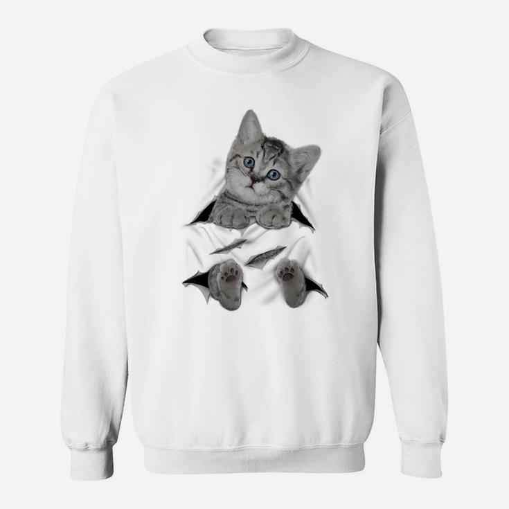 Cute Cat Peeking Out Hanging Funny Gift For Kitty Lovers Sweatshirt
