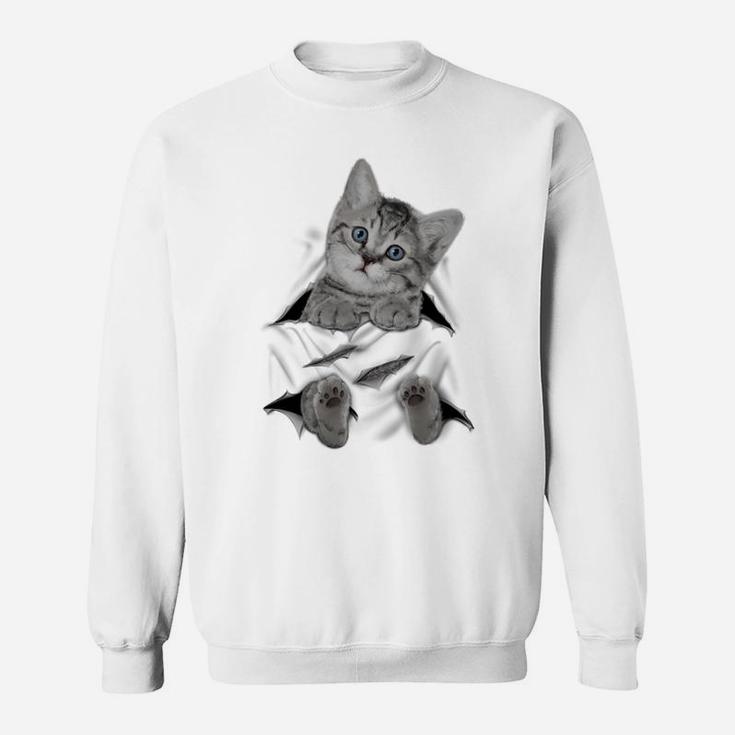 Cute Cat Peeking Out Hanging Funny Gift For Kitty Lovers Sweatshirt