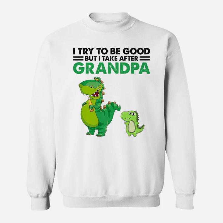 Kids I Try To Be Good But I Take After My Grandpa Dinosaur Sweatshirt