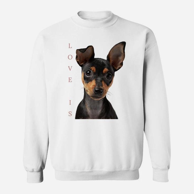 Miniature Pinscher Shirt Dog Mom Dad Tshirt Love Puppy Pet Sweatshirt Sweatshirt
