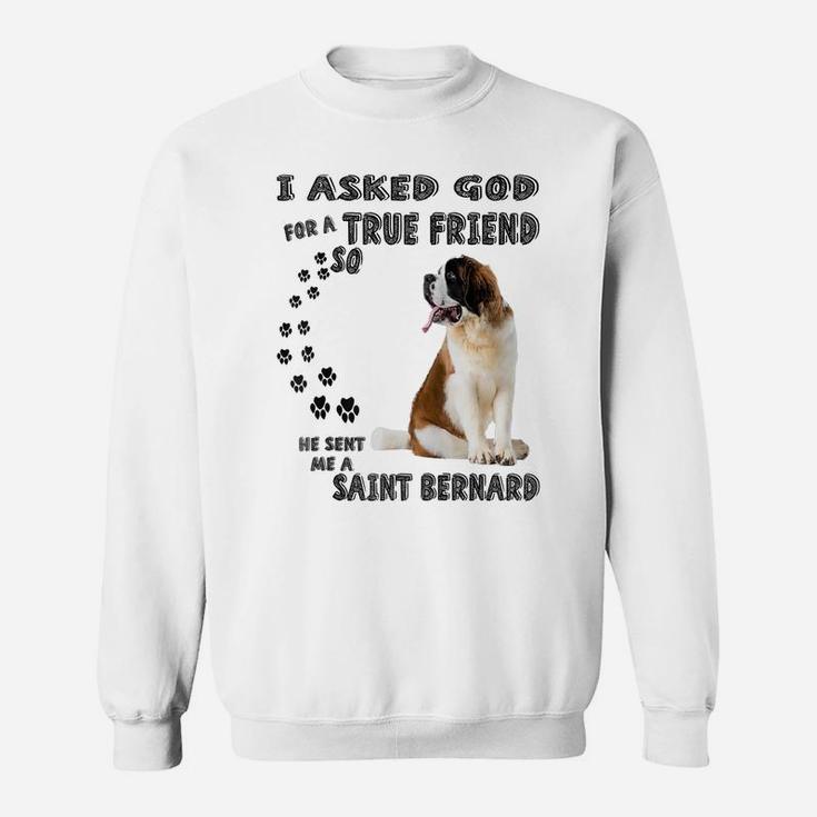 Saint Bernard Mom Dad Quote Costume, Cute Alpine Spaniel Dog Raglan Baseball Tee Sweatshirt