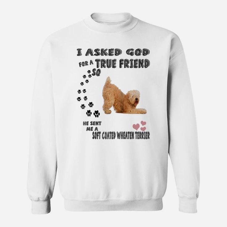 Soft Coated Wheaten Terrier Mom Dad Costume Cute Wheatie Dog Raglan Baseball Tee Sweatshirt
