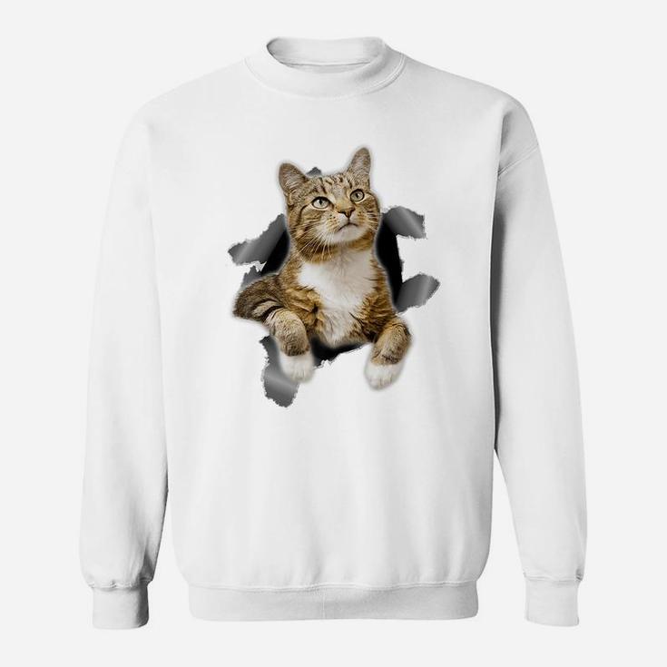 Sweet Kitten Torn Tee -Funny Cat Lover Cat Owner Cat Lady Sweatshirt