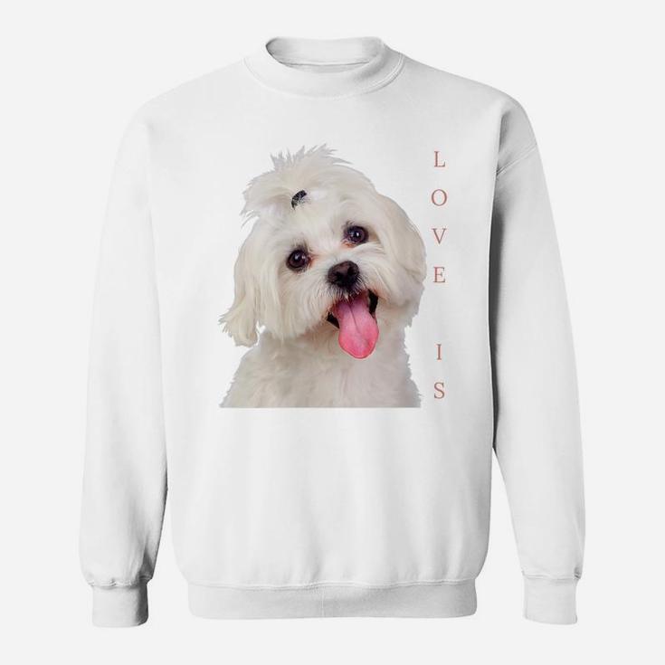 Womens Bichon Maltese Shirt Dog Mom Dad Puppy Bichon Frise Malta Sweatshirt