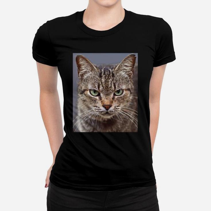 Funny Tabby Cat Chocolate Lovers Sweatshirt Women T-shirt