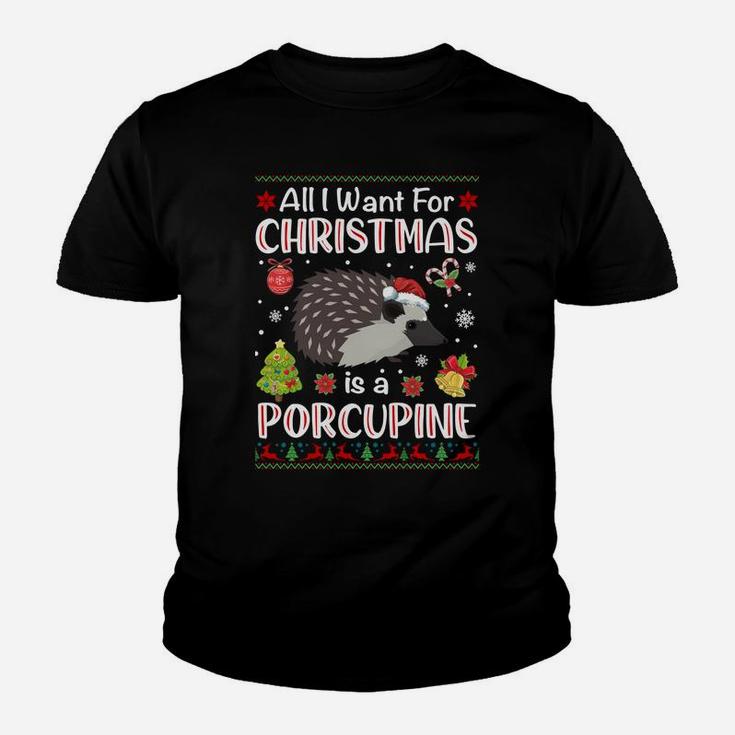 All I Want Is A Porcupine For Christmas Ugly Xmas Pajamas Sweatshirt Youth T-shirt
