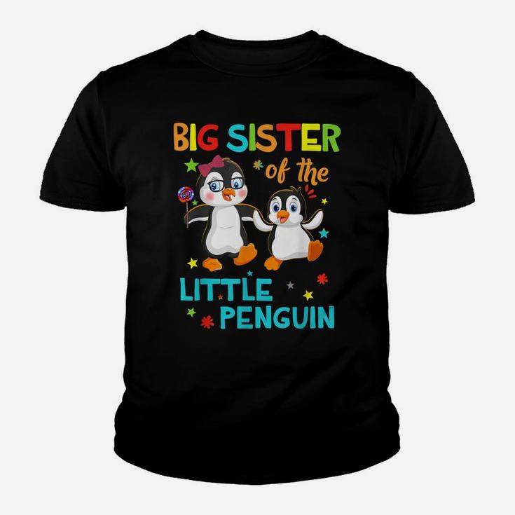 Big Sister Of Little Penguin Birthday Family Shirts Matching Youth T-shirt
