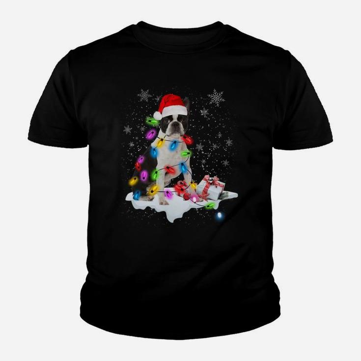 Boston Terrier Dog Santa Christmas Dog Lovers Xmas Lights Sweatshirt Youth T-shirt