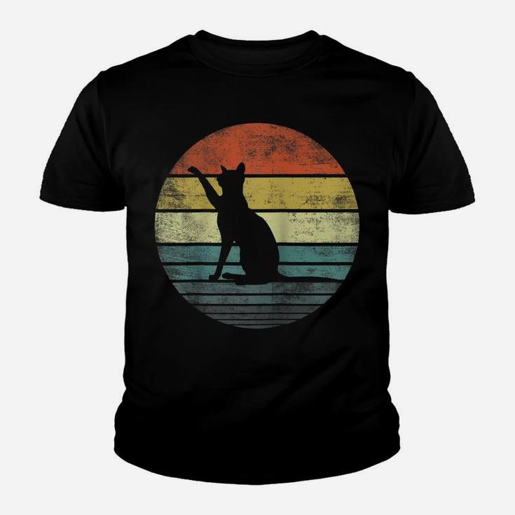 Cat Lover Gifts Retro Vintage Kitty Silhouette Raglan Baseball Tee Youth T-shirt
