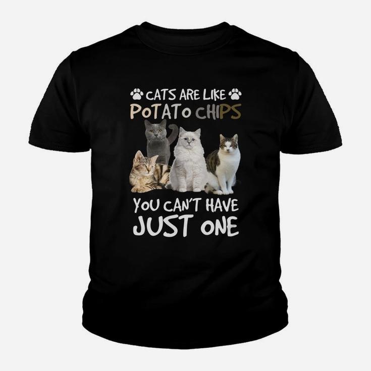 Cats Are Like Potato Chips You Can Not Have Just One Funny Sweatshirt Youth T-shirt