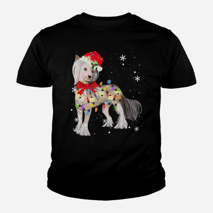 Chinese Crested Dog Christmas Light Xmas Mom Dad Gifts Youth T-shirt