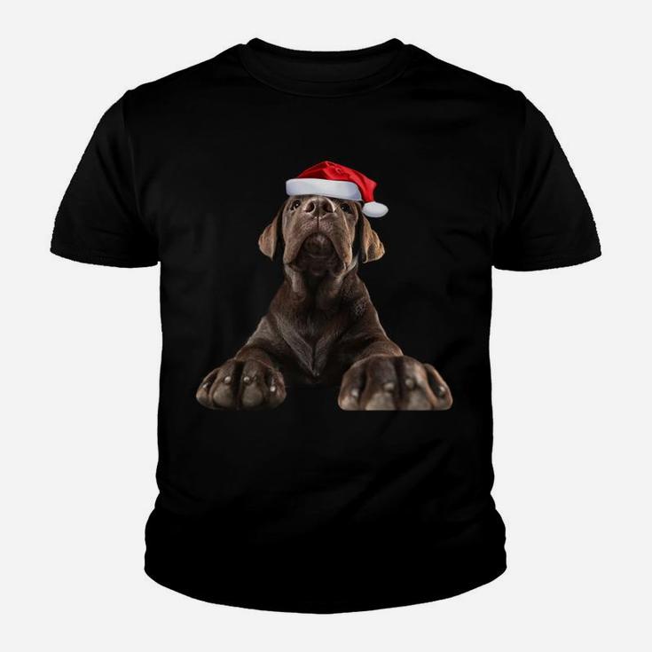 Chocolate Lab Puppy Dog Santa Hat Image Funny Christmas Gift Sweatshirt Youth T-shirt
