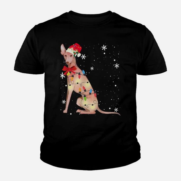 Cirneco Dell'etna Dog Christmas Light Xmas Mom Dad Gifts Youth T-shirt