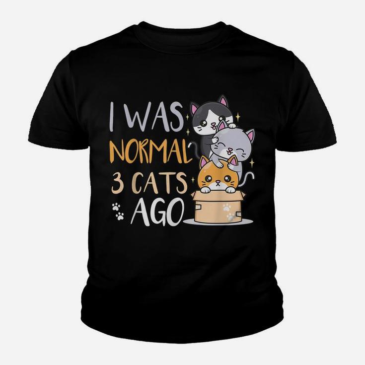 Funny Cat Lovers Quote I Was Normal 3 Cats Ago Youth T-shirt