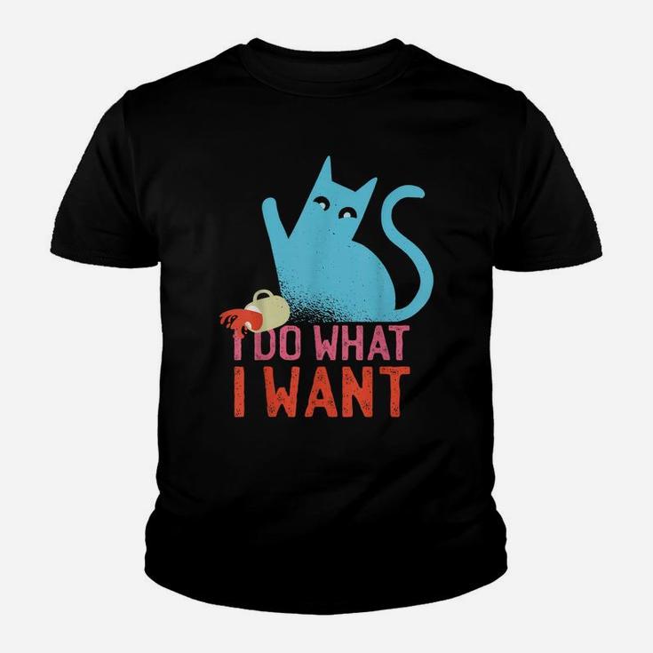 Funny Retro Rebel Cat I Do What I Want Cat Lovers Youth T-shirt
