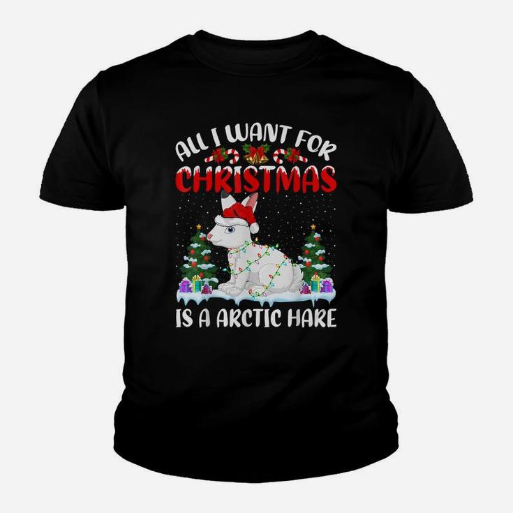 Funny Santa Hat All I Want For Christmas Is A Arctic Hare Youth T-shirt