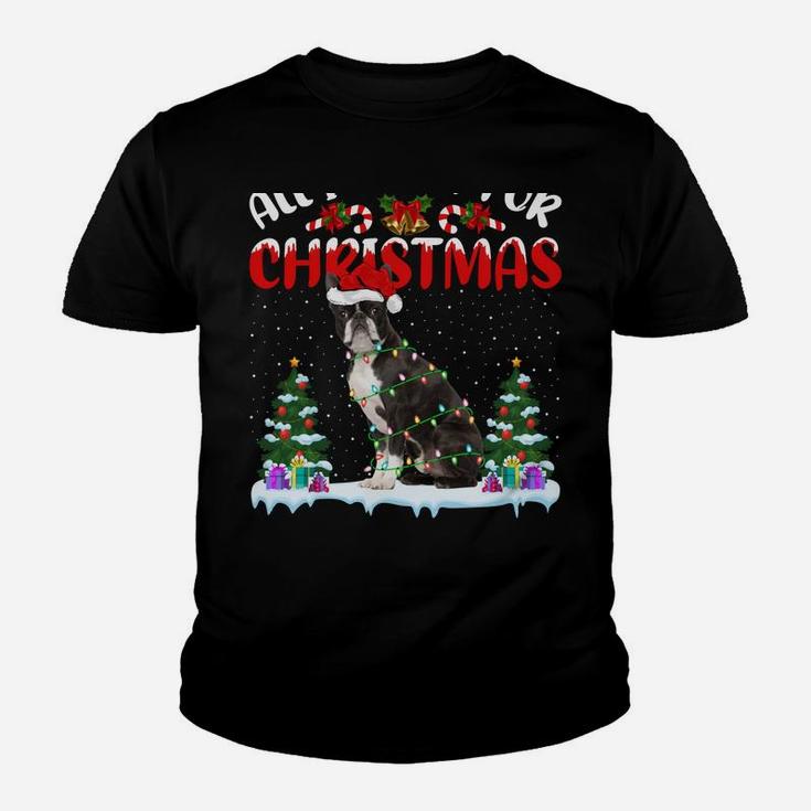 Funny Santa Hat All I Want For Christmas Is A Boston Terrier Youth T-shirt