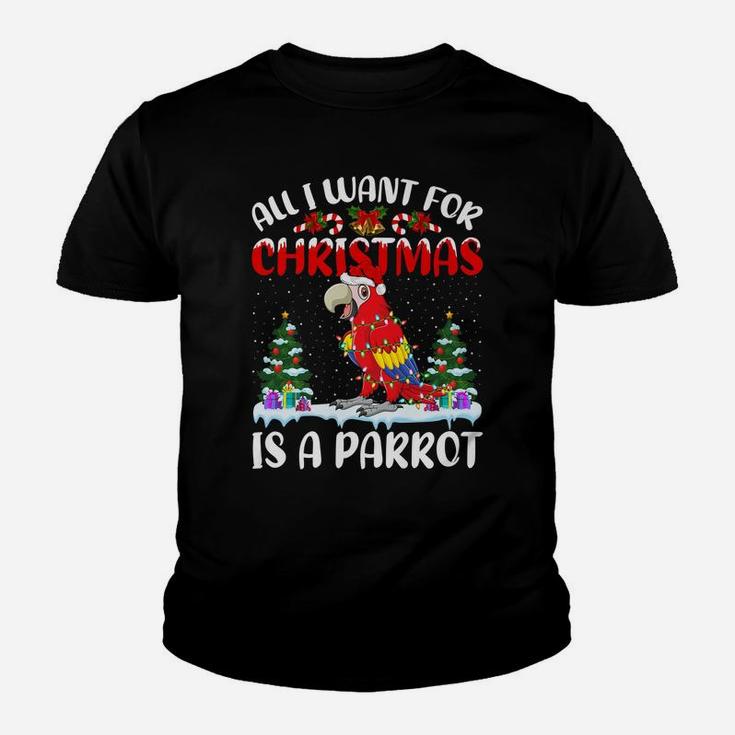 Funny Santa Hat All I Want For Christmas Is A Parrot Youth T-shirt