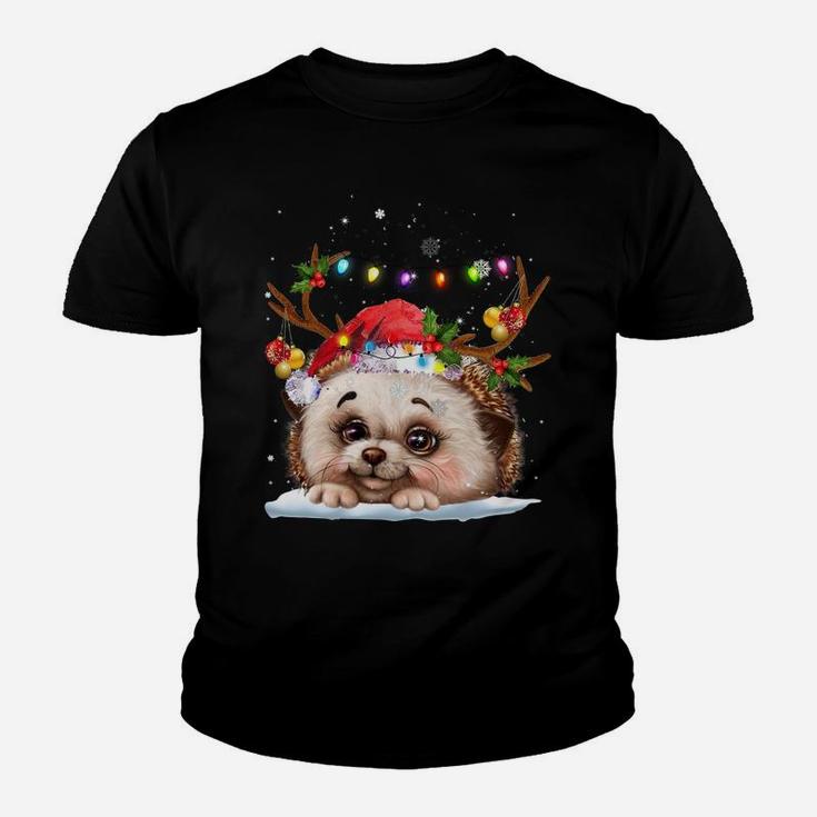 Hedgehogs Reindeer Xmas Lighsts Christmas Ornaments Xmas Sweatshirt Youth T-shirt