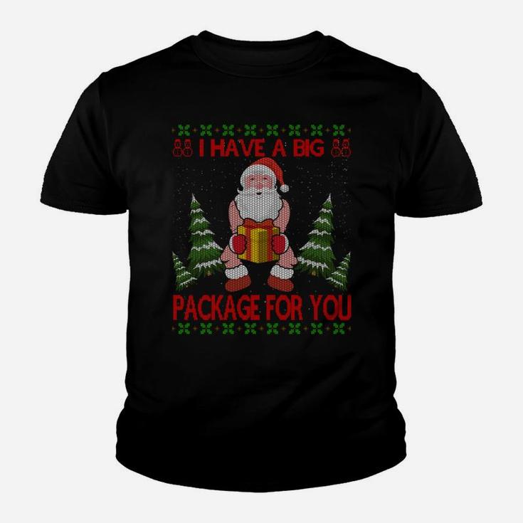 I Have Big Package For You Santa Claus & Huge Box Christmas Sweatshirt Youth T-shirt