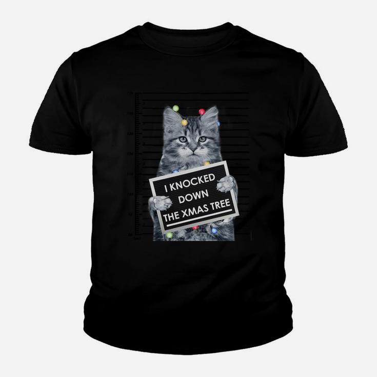 I Knocked Down The Xmas Tree Funny Christmas Kitty Cat Lover Sweatshirt Youth T-shirt