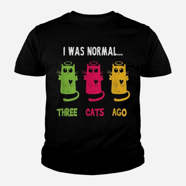 I Was Normal Three Cats Ago - Cat Lovers Gift Youth T-shirt