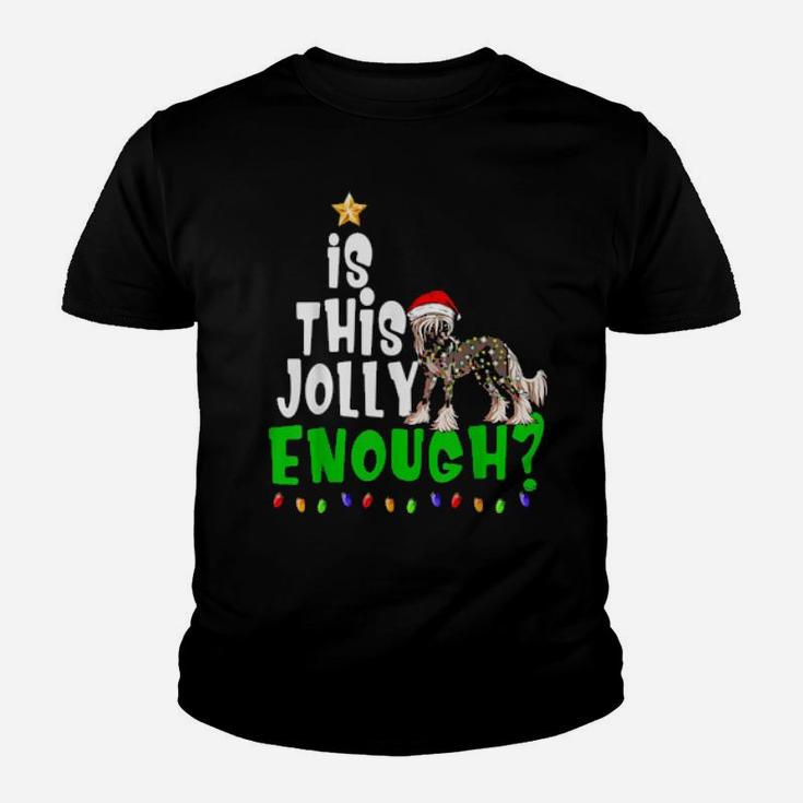 Is This Jolly Enough Xmas Chinese Crested Youth T-shirt
