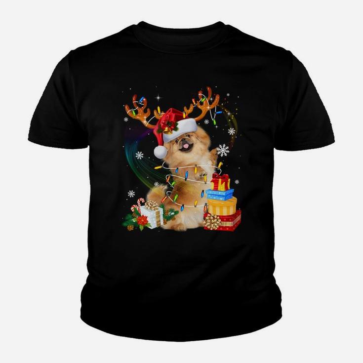 Pekingese Reindeer Christmas Lights Funny Dog Xmas Gift Youth T-shirt