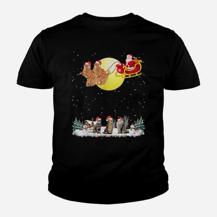 Santa And Kittens Youth T-shirt