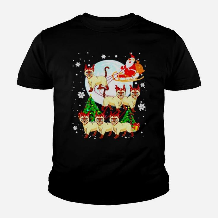 Santa Claus And Cats Youth T-shirt