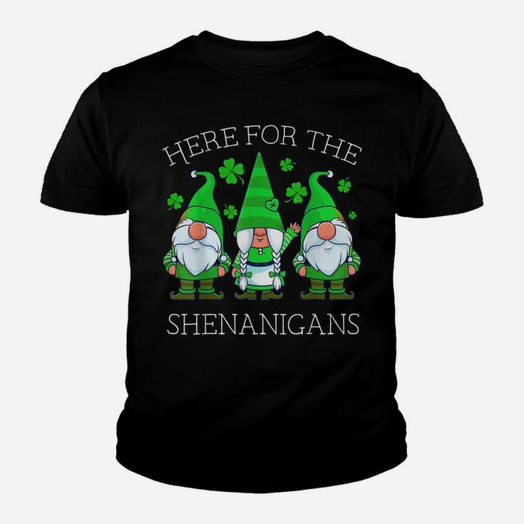 St Patricks Day Gnome Shamrock Here For The Shenanigans Gift Youth T-shirt