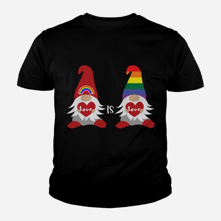 Valentine's Gay Pride Month Rainbow Gnome Gift Lgbqt Sweatshirt Youth T-shirt