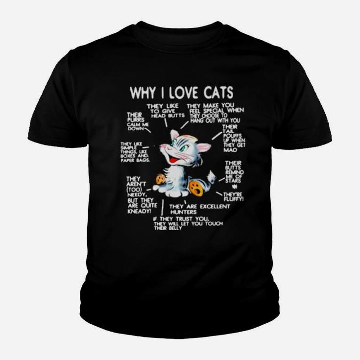 Why-I-Love-Cats-Reason Sweater Youth T-shirt