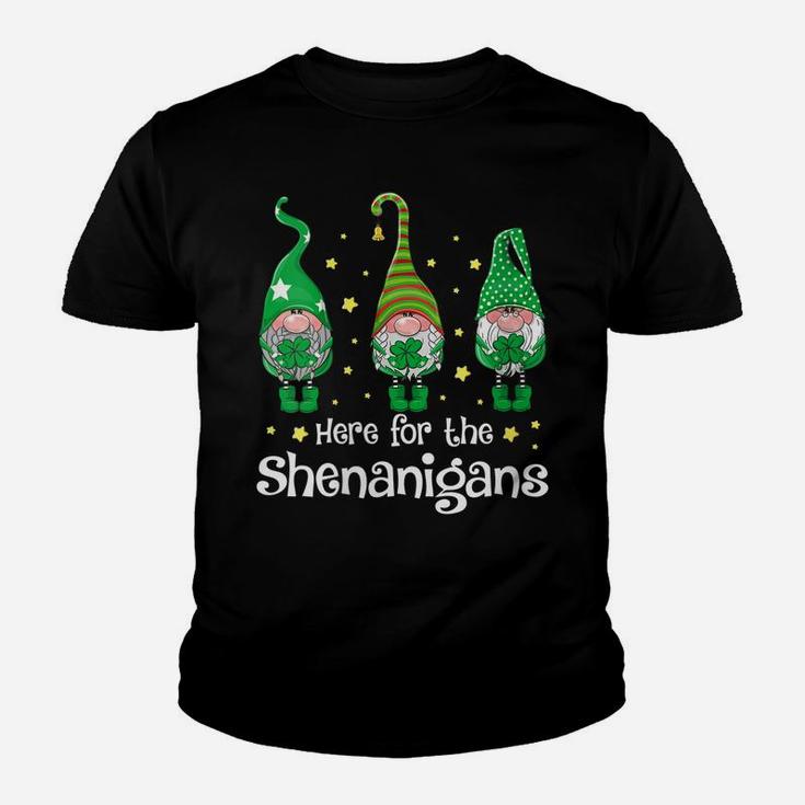 Womens St Patricks Day Here For The Shenanigans Gnome Shamrock Gift Youth T-shirt