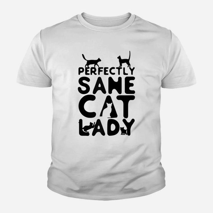 Cat Lovers Perfectly Sane Cat Lady Funny Feline Raglan Baseball Tee Youth T-shirt