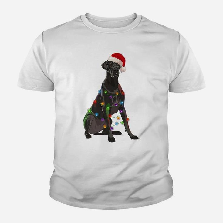 Great Dane Christmas Lights Xmas Dog Lover Santa Hat Youth T-shirt