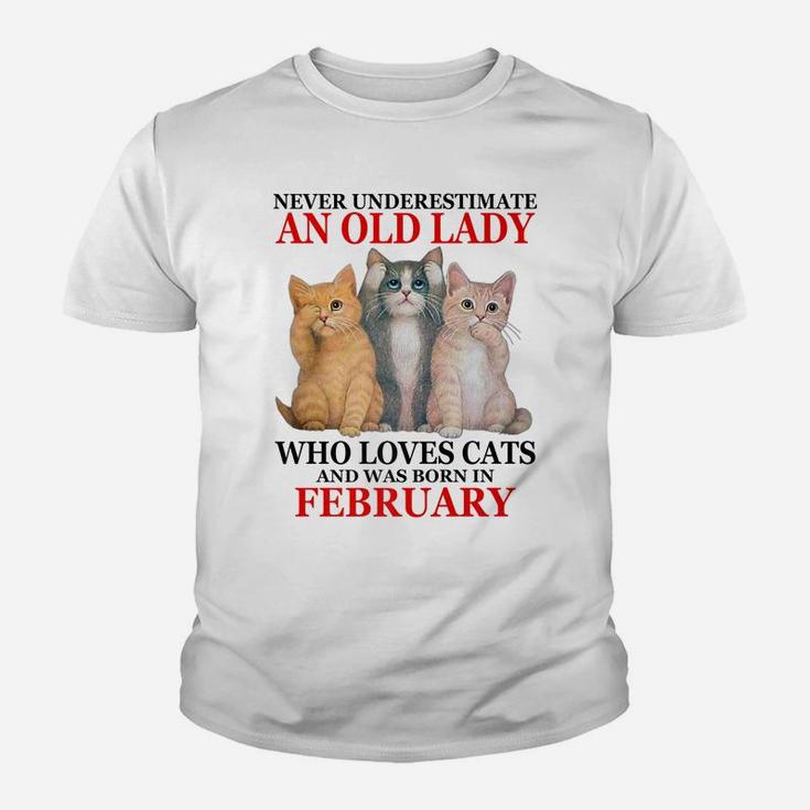 Never Underestimate An Old Lady Who Loves Cats - February Youth T-shirt