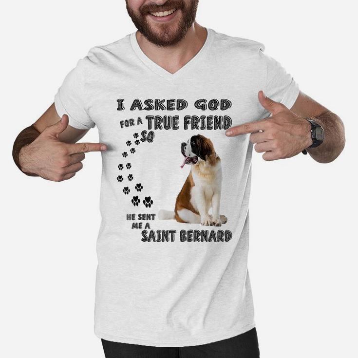Saint Bernard Mom Dad Quote Costume, Cute Alpine Spaniel Dog Raglan Baseball Tee Men V-Neck Tshirt