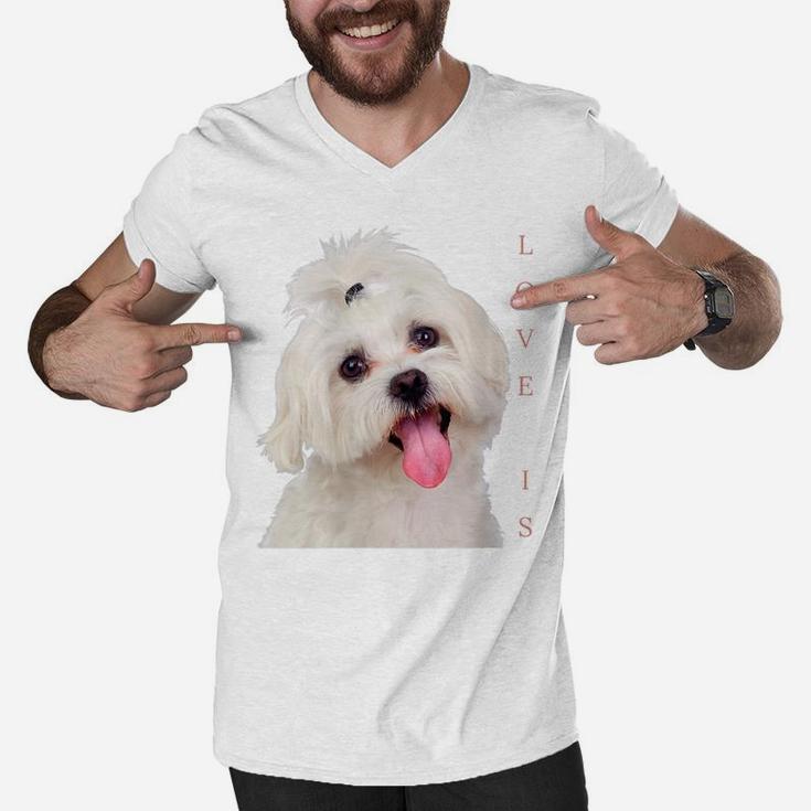 Womens Bichon Maltese Shirt Dog Mom Dad Puppy Bichon Frise Malta Men V-Neck Tshirt