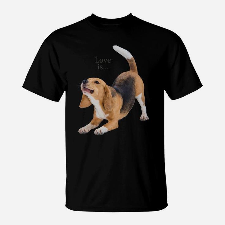 Beagle Shirt Beagles Tee Love Is Dog Mom Dad Puppy Pet Cute Sweatshirt T-Shirt