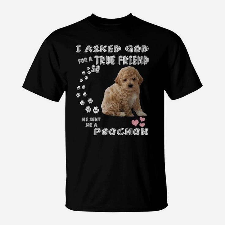 Bichon Poodle Dog Mom, Bichon Poo Dad Costume, Cute Poochon T-Shirt
