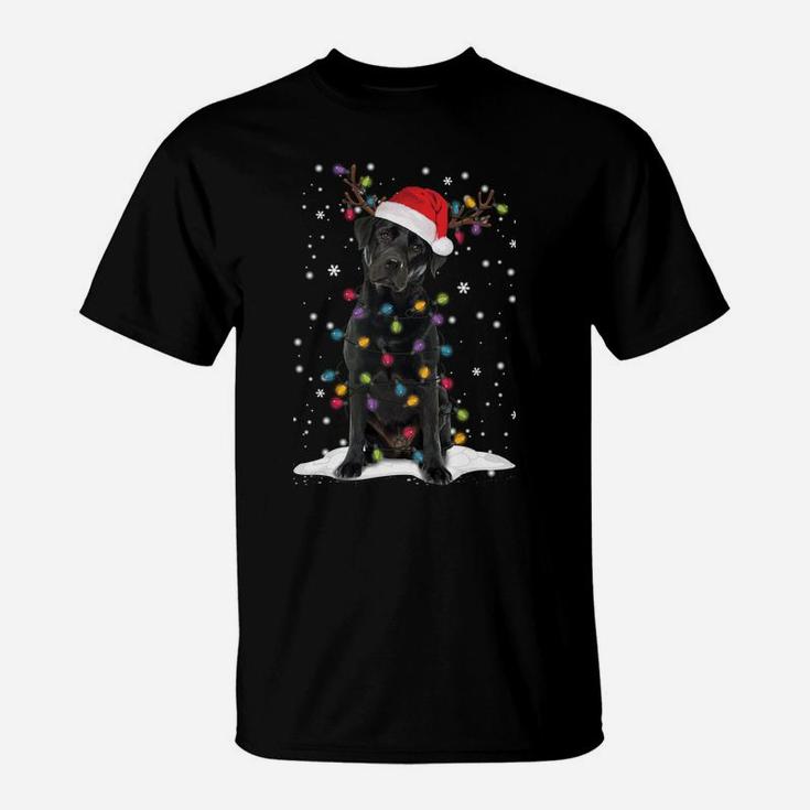 Black Lab Labrador Christmas Tree Light Pajama Dog Xmas Gift Sweatshirt T-Shirt