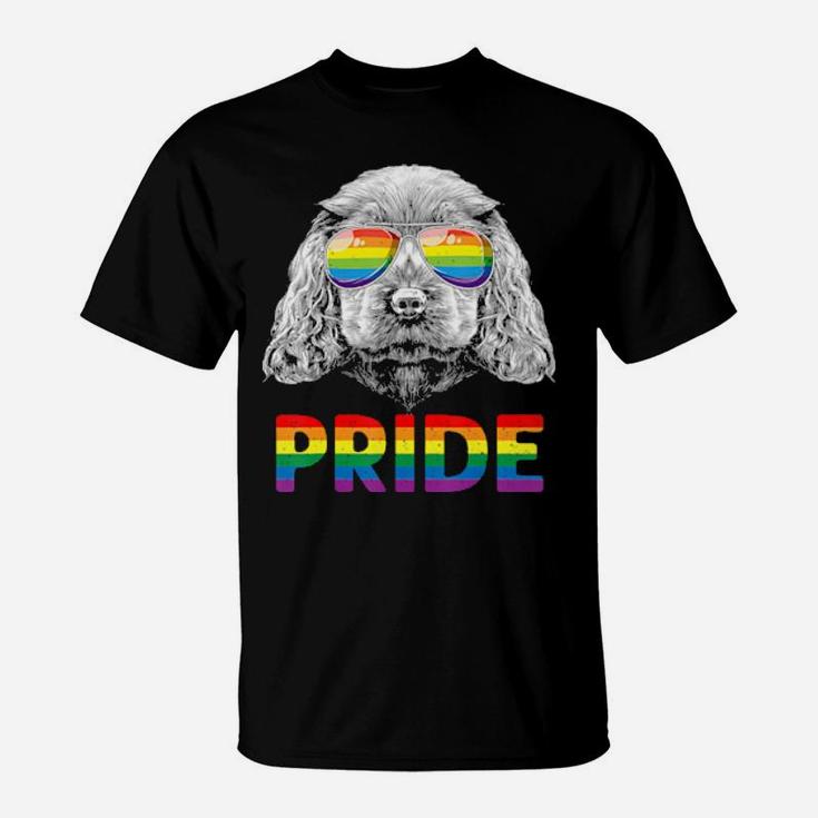 Cavalier King Charles Spaniel Gay Lgbt Rainbo T-Shirt