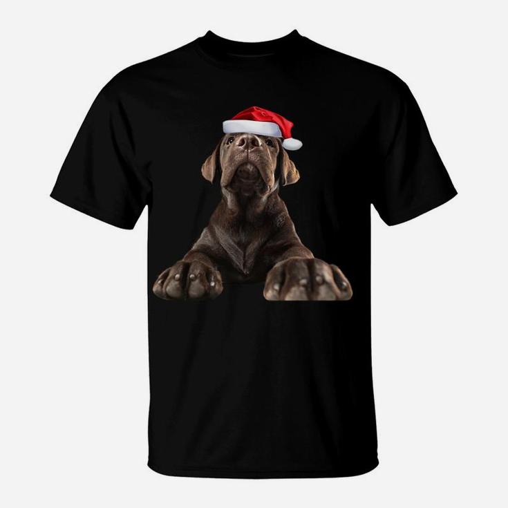 Chocolate Lab Puppy Dog Santa Hat Image Funny Christmas Gift Sweatshirt T-Shirt
